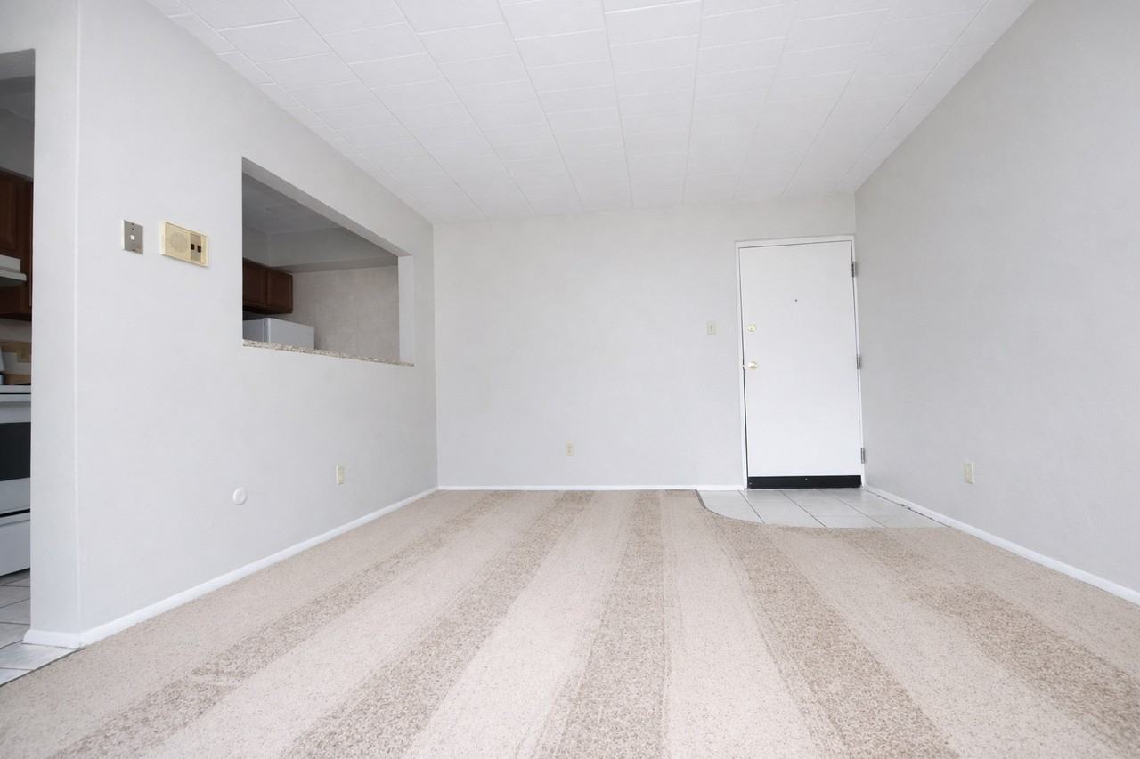 1954 AMATO DRIVEAPT 31 #31 - Photo 3 of 6