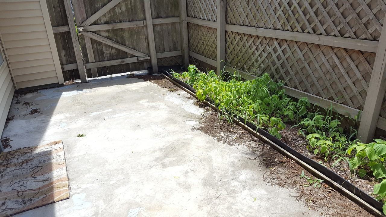 4977 Adelia Dr - Photo 3 of 14