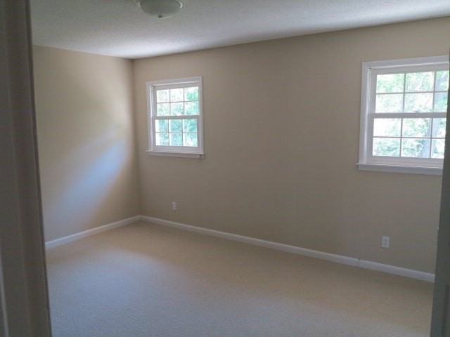 204 Monta Leisha Ct - Photo 5 of 5