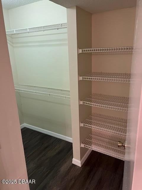 1401 S Palmetto Ave Apt 212 - Photo 5 of 10