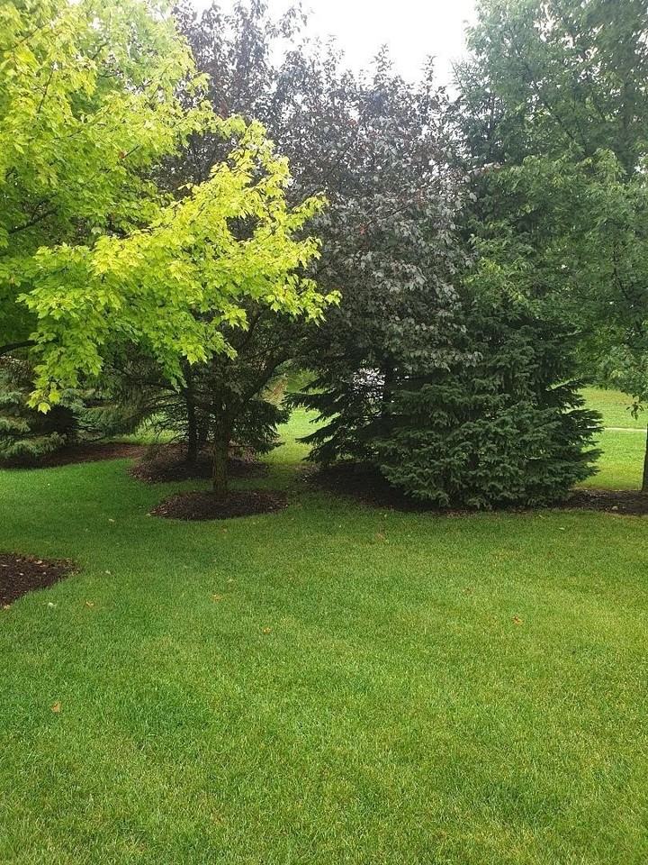 28121 W Sonoma Pass Unit 28121 - Photo 4 of 32