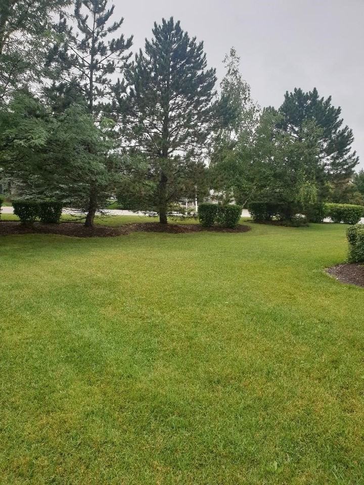 28121 W Sonoma Pass Unit 28121 - Photo 5 of 32