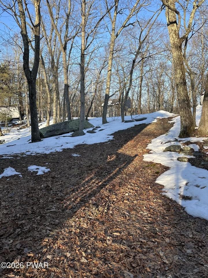 3210 Cherry Ridge Rd - Photo 3 of 50