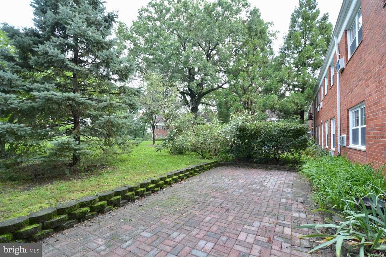 3436 Martha Custis Dr - Photo 5 of 24