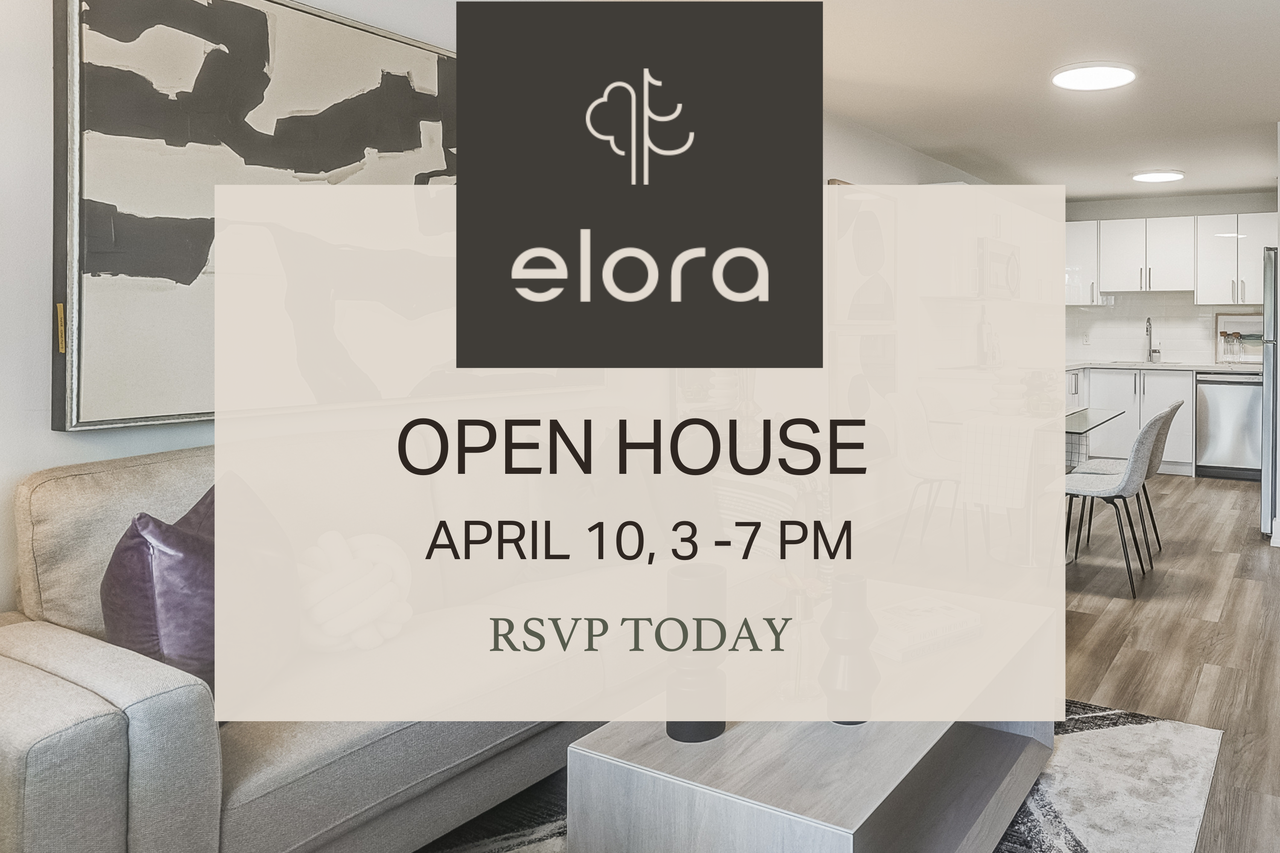 Elora - Photo 7 of 47