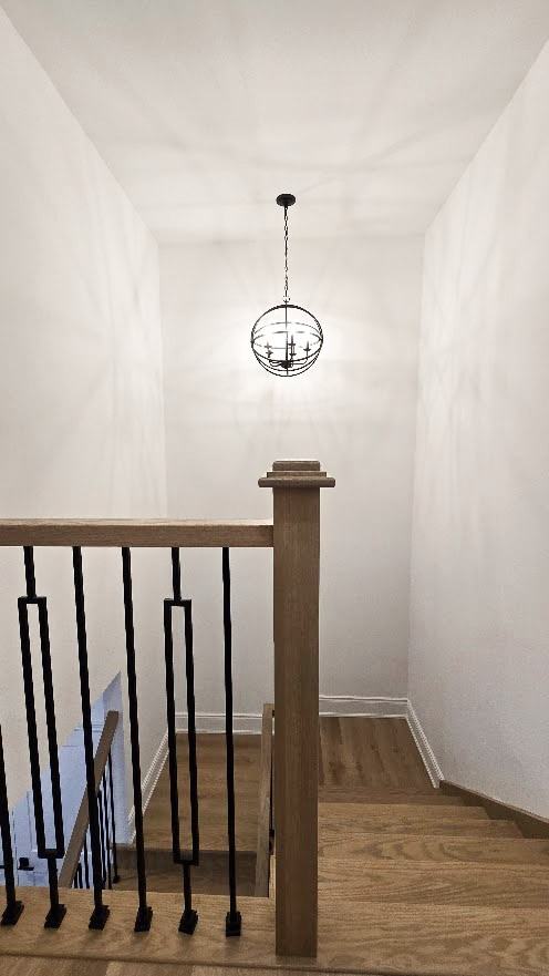 42 Calverley Street - Photo 7 of 20