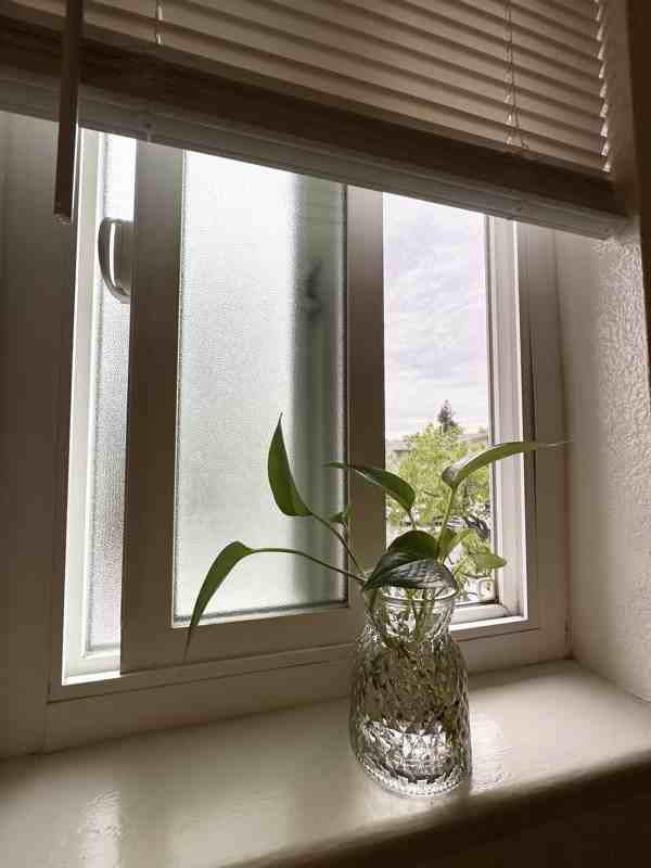 1960 Grande Cir #41 - Photo 7 of 10