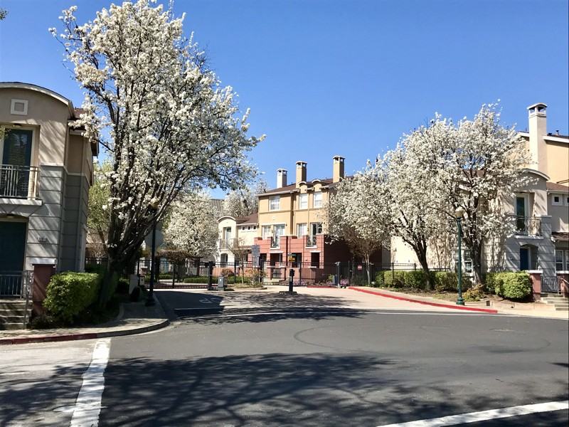 710 City Walk Pl #2-1stFL - Photo 7 of 12