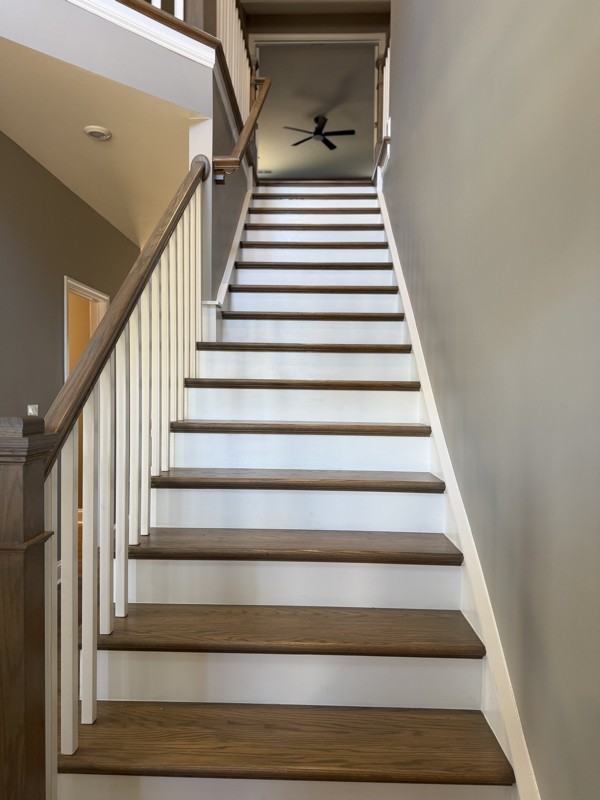 1553 Cedar Tree Dr - Photo 3 of 20