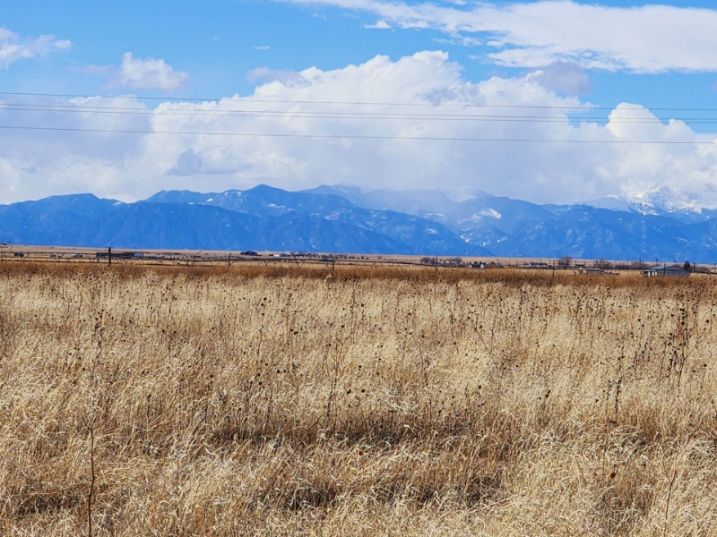 5745 Barroad - Photo 2 of 12