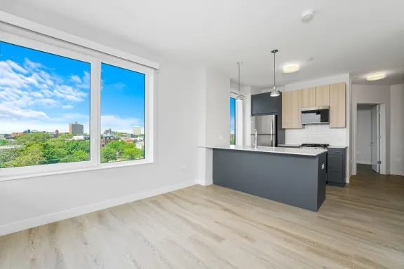 1129 W Erie St - Photo 3 of 20