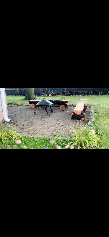 3513 S 59th Ct - Photo 2 of 13