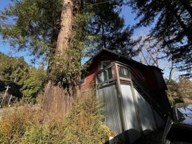 14975 River Rd #1 - Photo 1 of 1