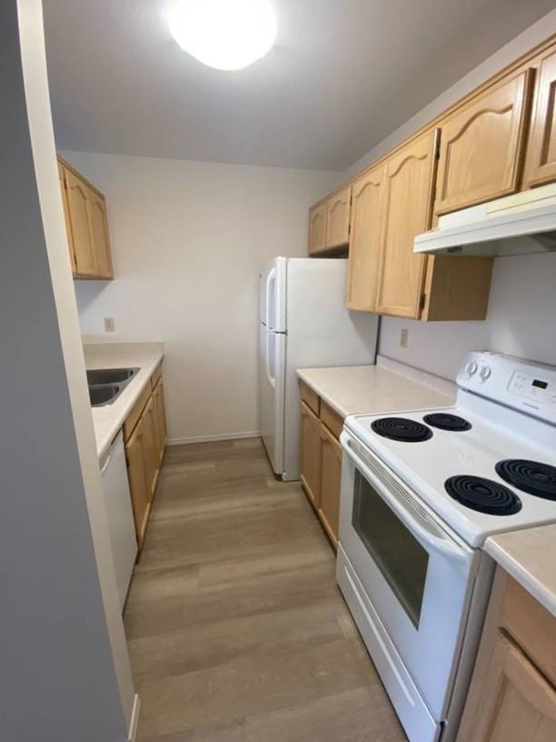 33388 Mayfair Avenue #318 - Photo 2 of 8