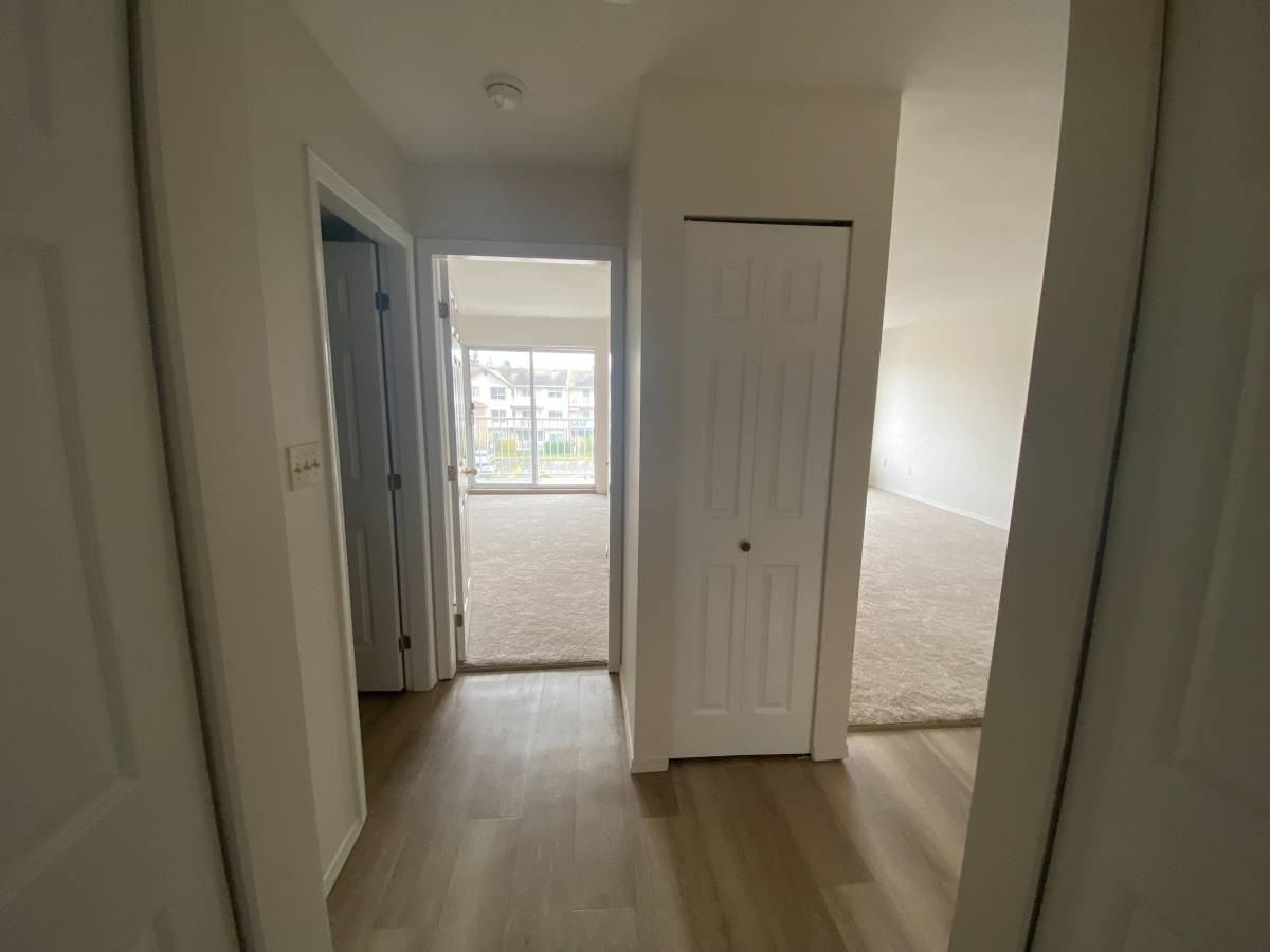 33388 Mayfair Avenue #318 - Photo 3 of 8