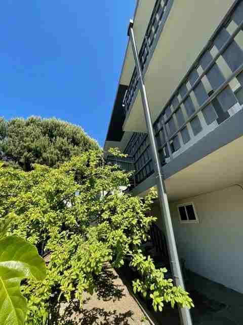 1931 Dwight Way - Photo 5 of 16