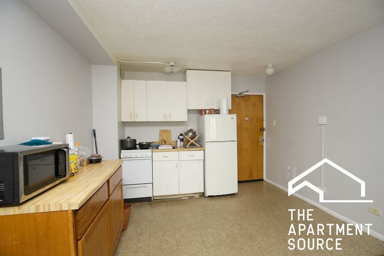 7333 N Ridge Blvd #201 - Photo 2 of 18