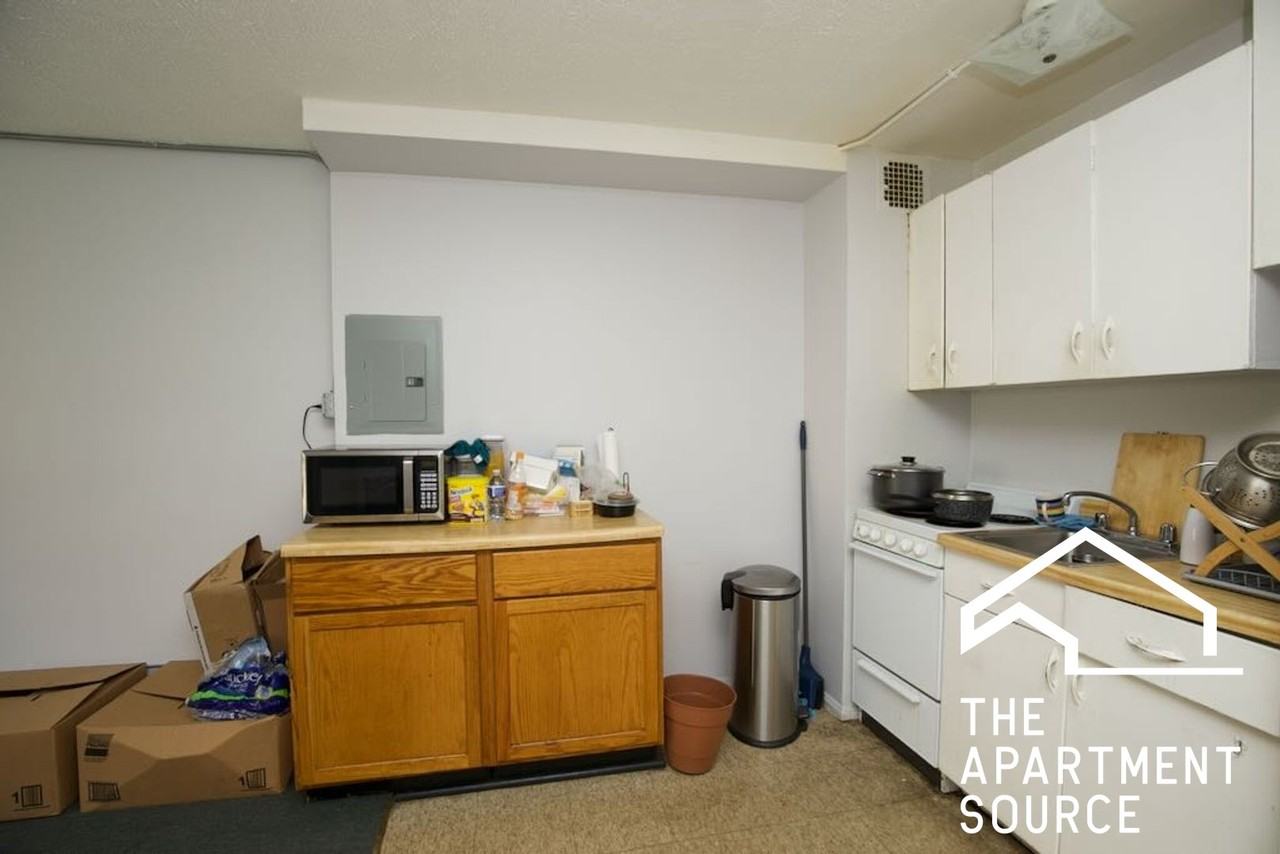 7333 N Ridge Blvd #201 - Photo 3 of 18