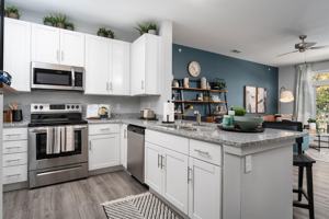 featured image of 901 Baneberry Ln