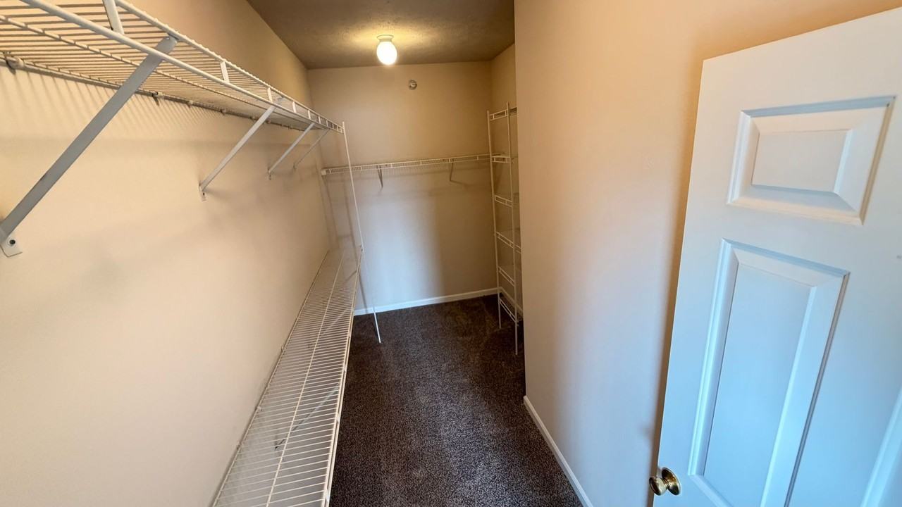 Hillsborough Pointe Apartments - Photo 5 of 50