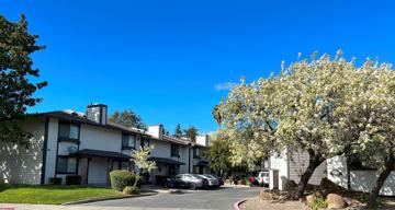 featured image of 516 Pacific Ave