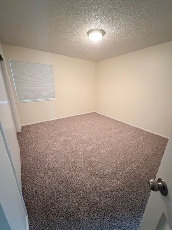 4508 Blossom Valley Ln - Photo 5 of 9