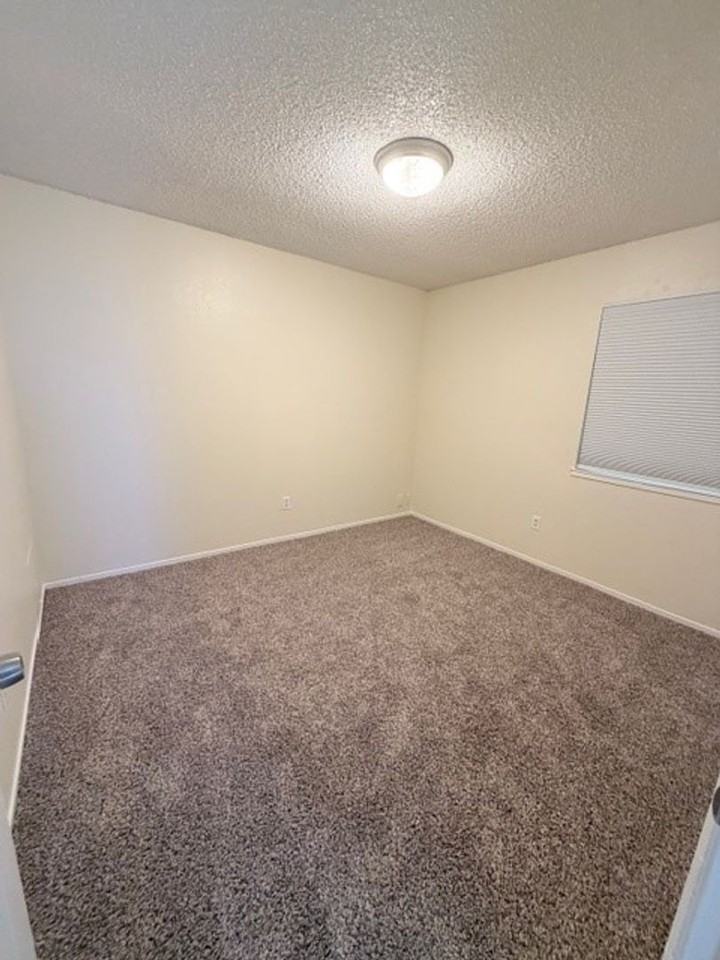 4508 Blossom Valley Ln - Photo 7 of 9