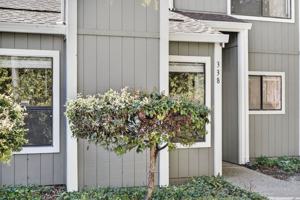 featured image of 338 Scottsdale Rd