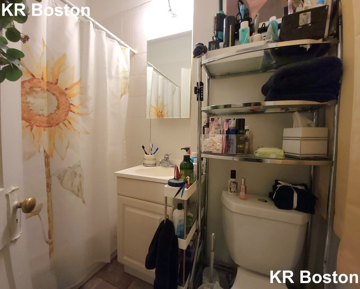 Hemenway St. & Norway St #16 - Photo 5 of 34