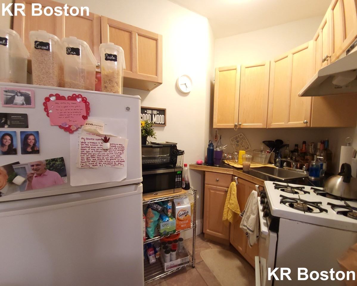 Hemenway St. & Norway St #16 - Photo 6 of 34