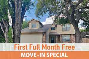 featured image of 9122 Autumn Storm