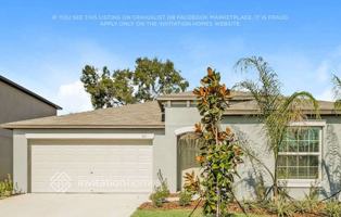 featured image of 365 Rain Lily Ave