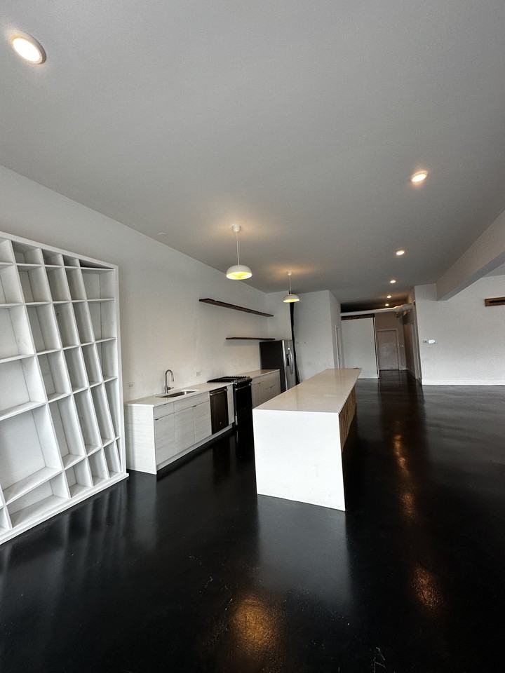 2500 W Chicago Ave #2E - Photo 4 of 12