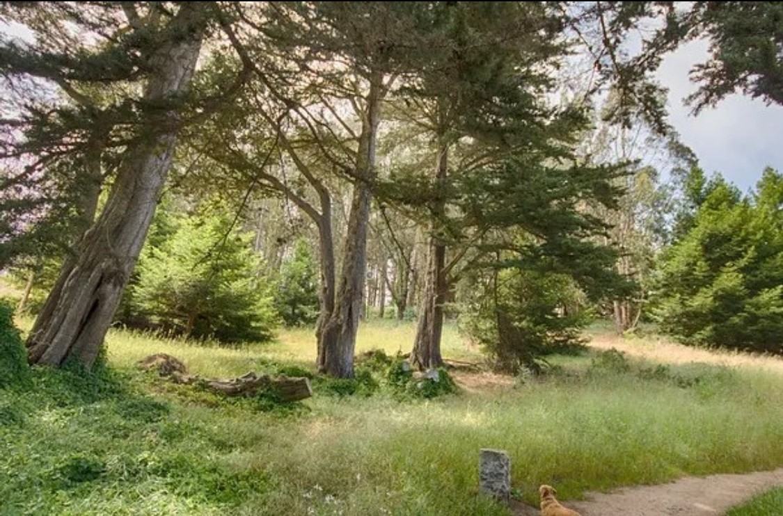 Russia Ave #1232 - Photo 4 of 12