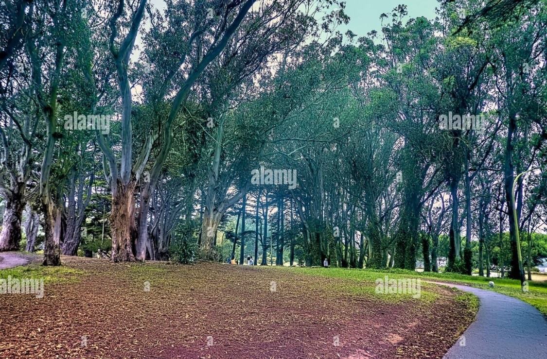 Russia Ave #1232 - Photo 5 of 12