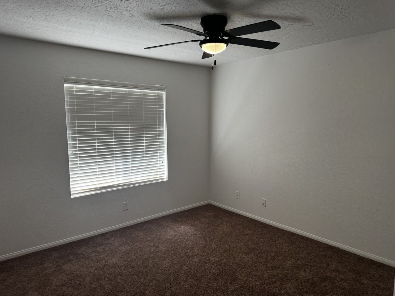 9191 White Rd #1 - Photo 7 of 10