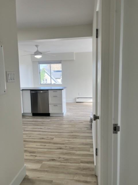 Surfside Apartments - Photo 4 of 9