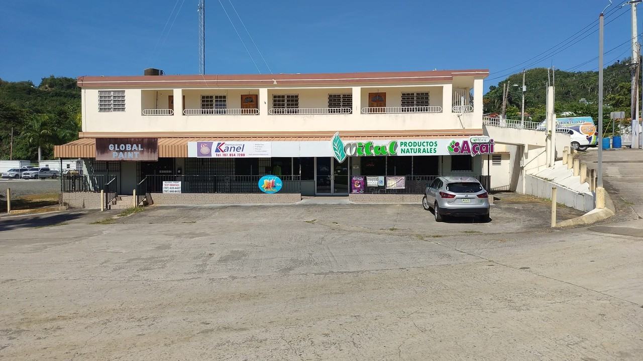 Carr. 149 KM 2.9 Barrio Rio Arriba Saliente - 3 #3 - Photo 7 of 7