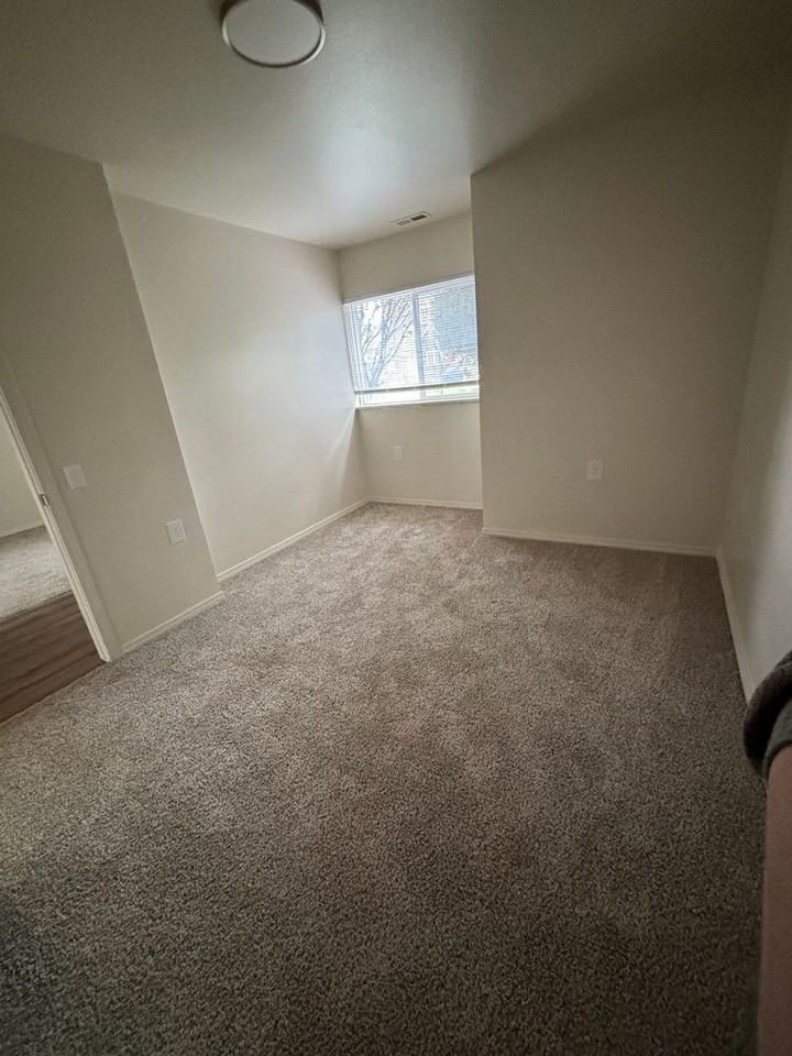 Davis Park Apartments - Photo 7 of 16