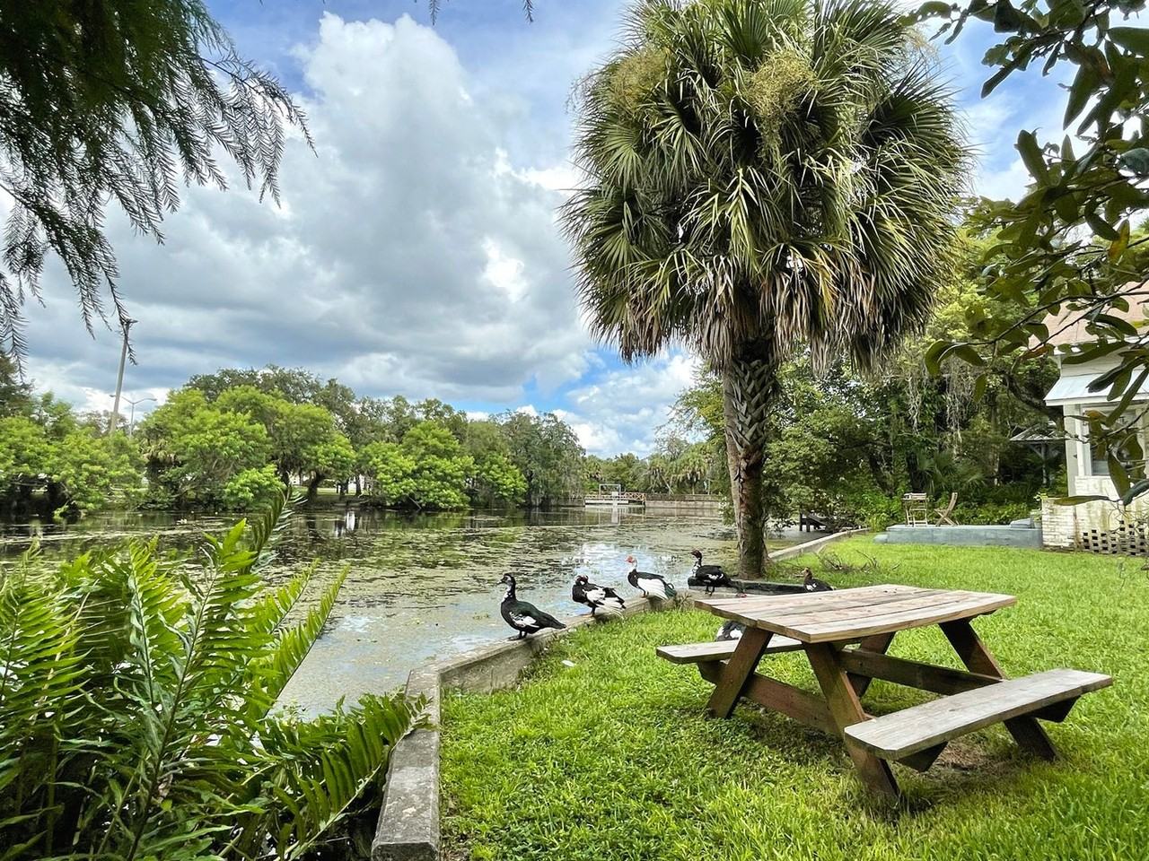 708 E Hollywood St - Photo 4 of 35