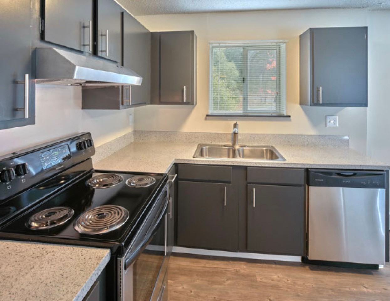 Updated Apartment units in West Seattle – Near Westwood Village - Photo 5 of 14