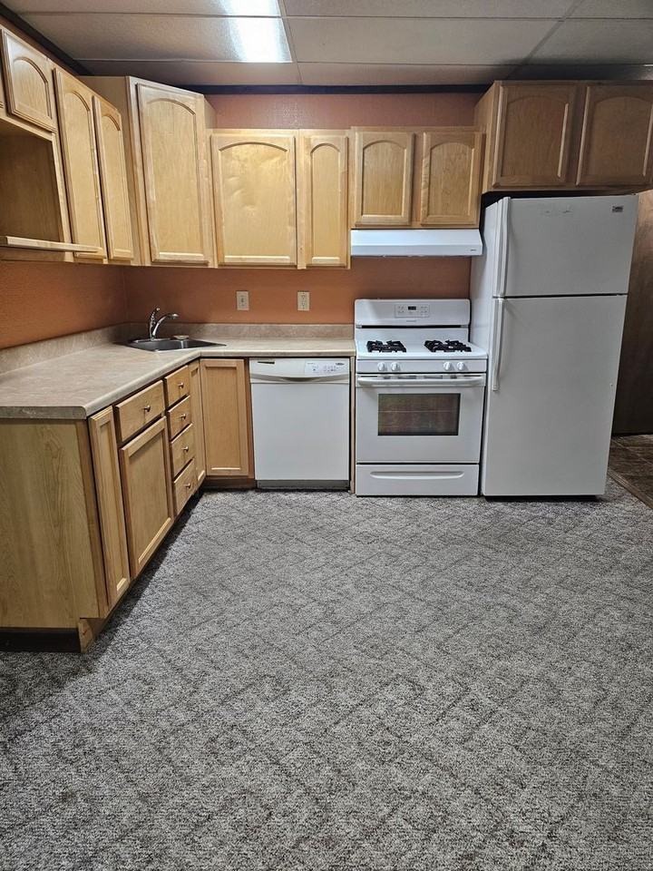 Plymouth 202 S 7th St - Photo 4 of 12