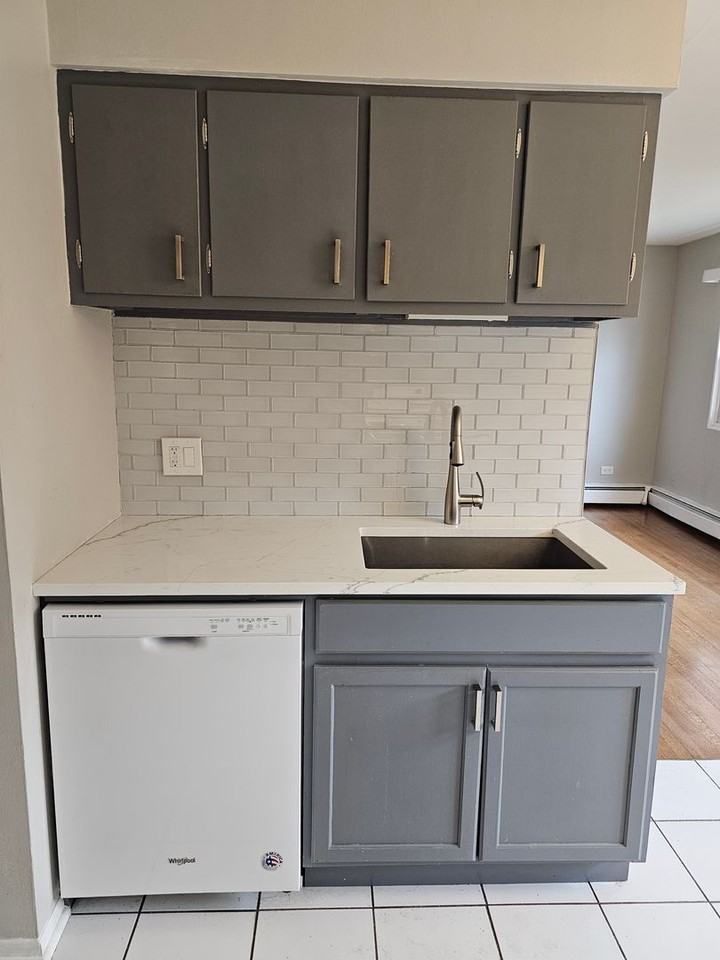 2349-59 W. Jarvis/7335-37 N. Western - Photo 3 of 10