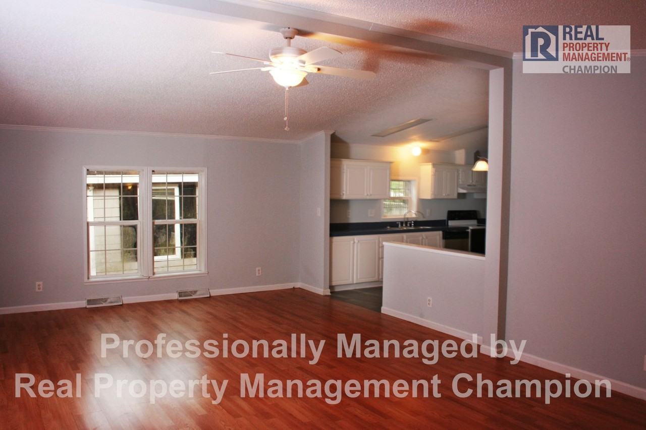 811 Red Lighthouse Ln - Photo 4 of 21