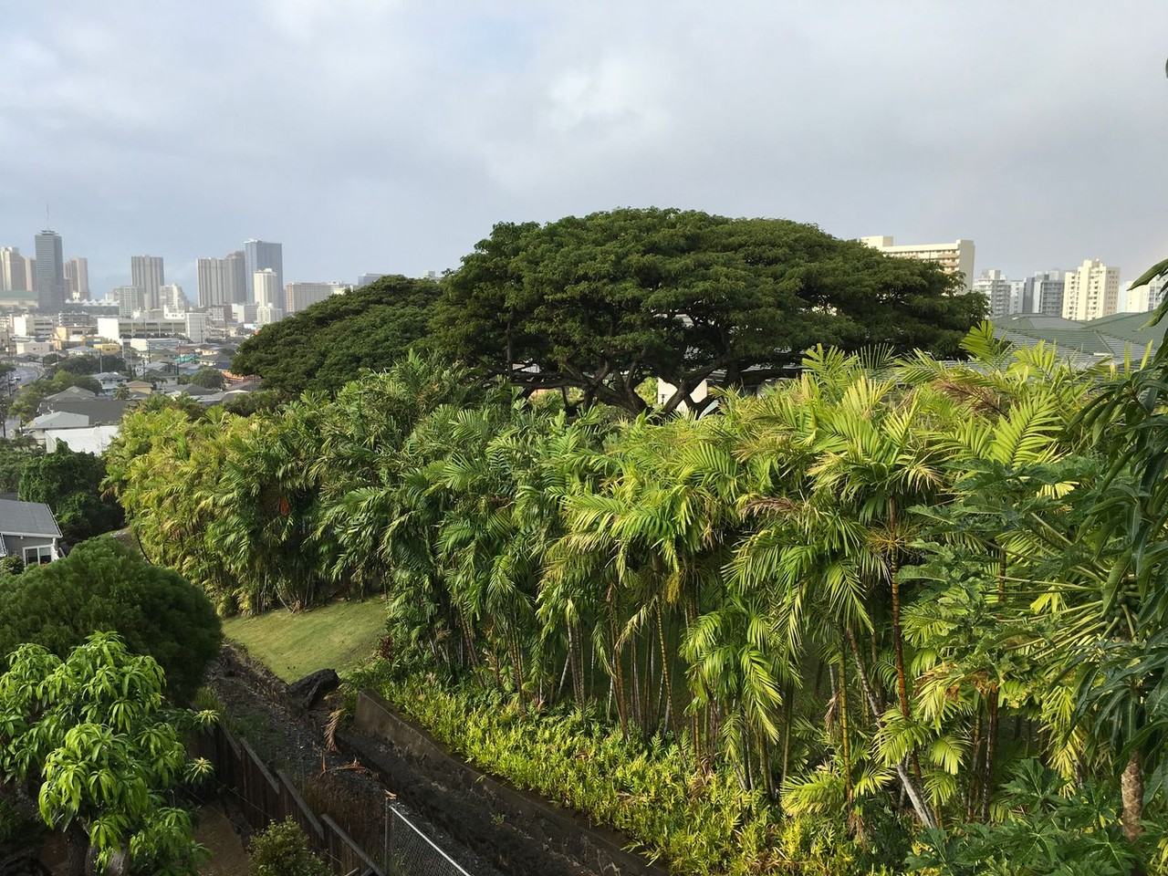 1801 Vancouver Dr - Photo 6 of 14