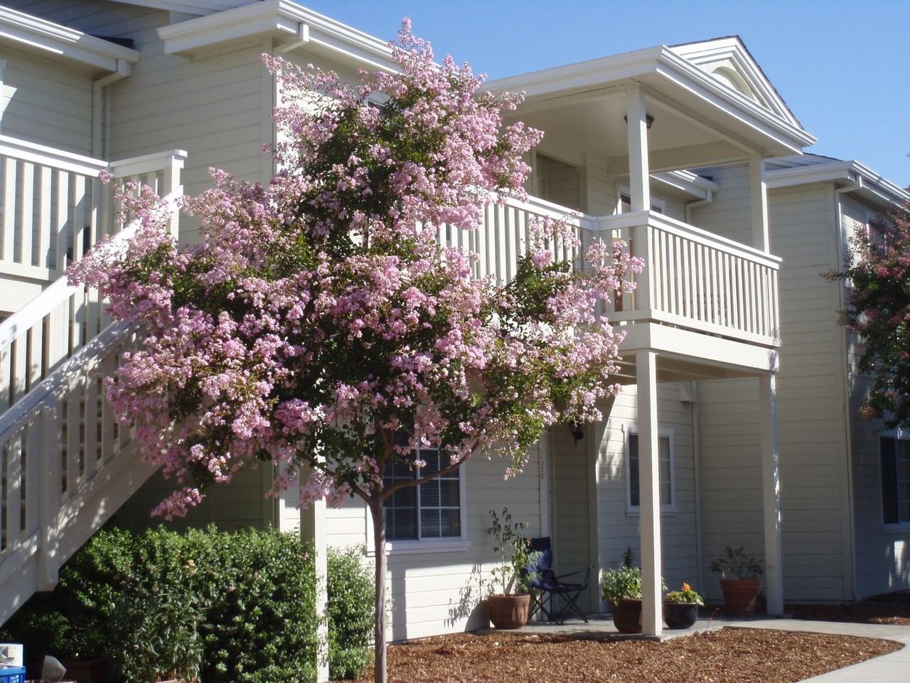 222 Tuscany Pl - Photo 5 of 7