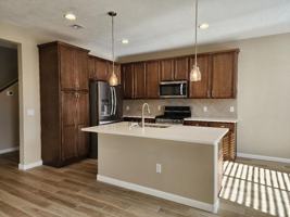 featured image of 5003 Wheeler Ln