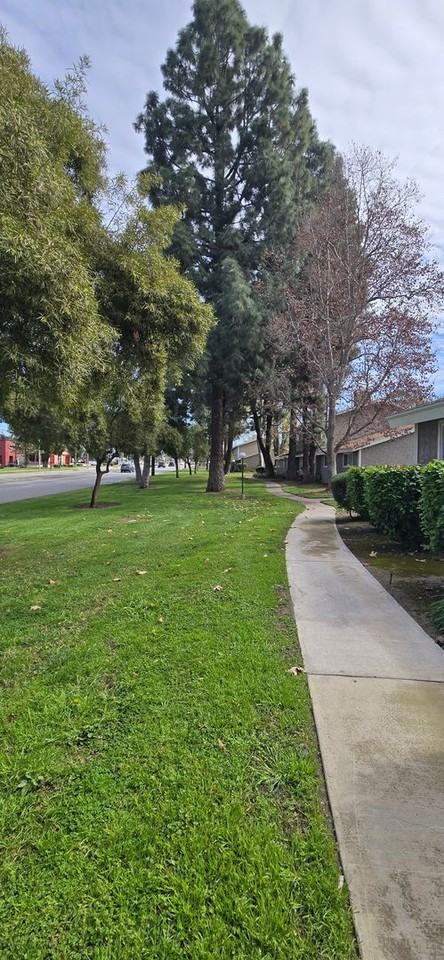 2061 W Redlands Blvd #14B - Photo 3 of 19