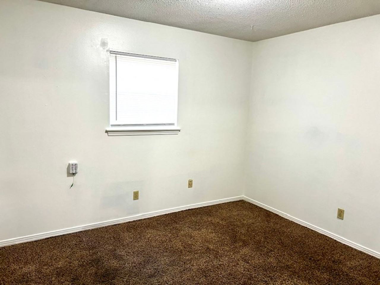 4306 Via Alta Dr - Photo 7 of 18