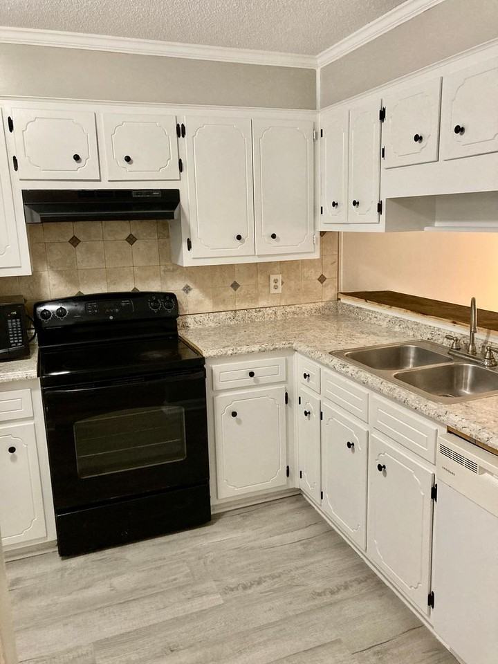 369 Joshua Tree Dr - Photo 5 of 19